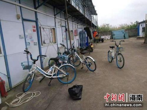 海口共享自行车新闻头条,规范使用提升城市出行效率
